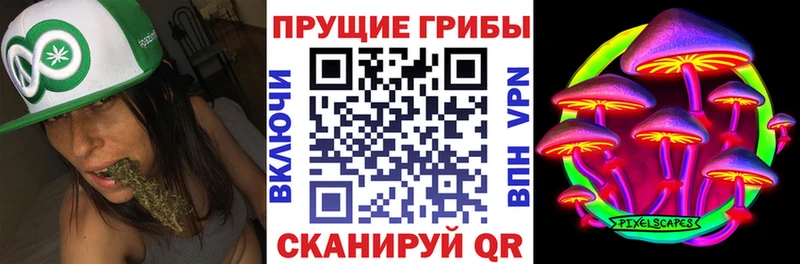 Купить где  Николаевск  Галлюциногенные грибы MAGIC MUSHROOMS 