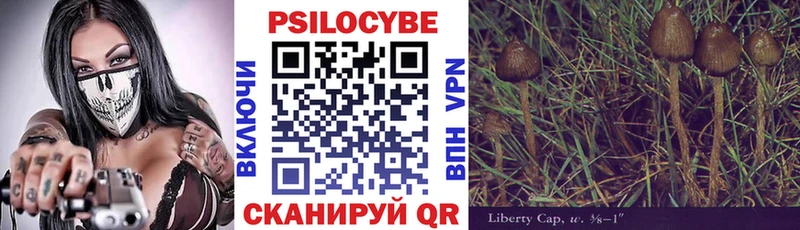 Галлюциногенные грибы Psilocybine cubensis Николаевск